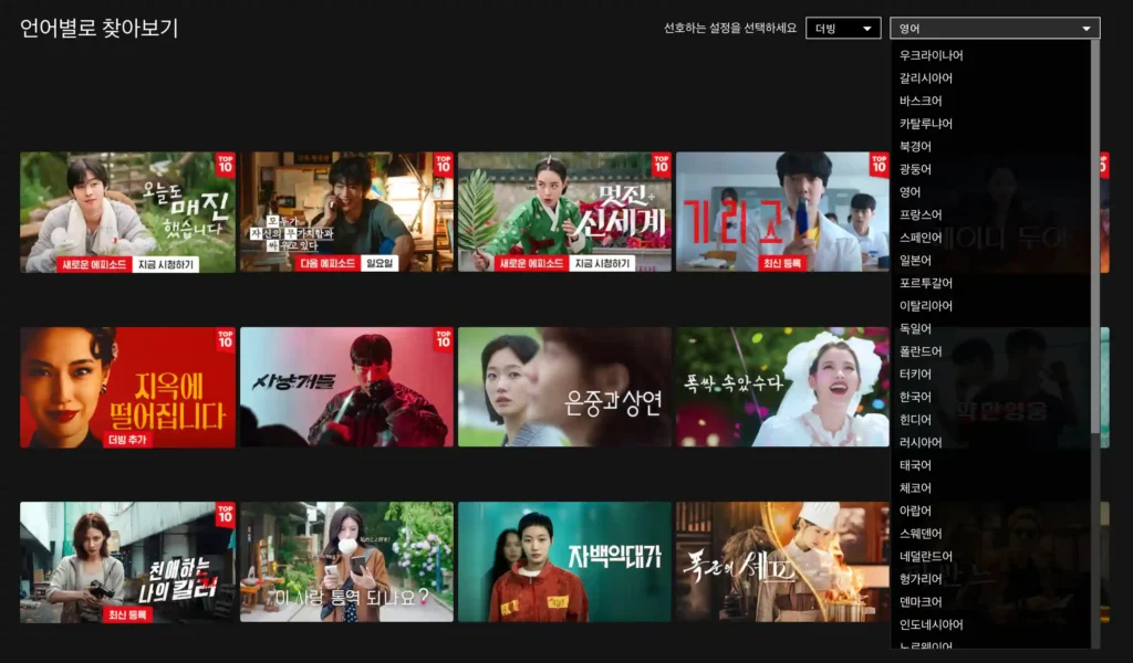 넷플릭스